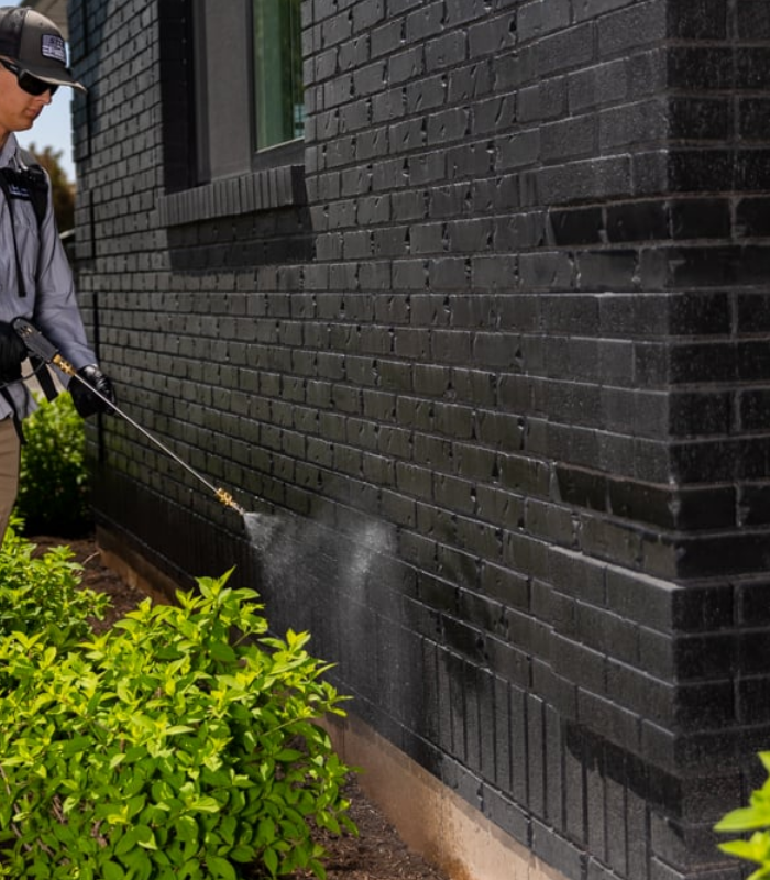 Pet safe pest control