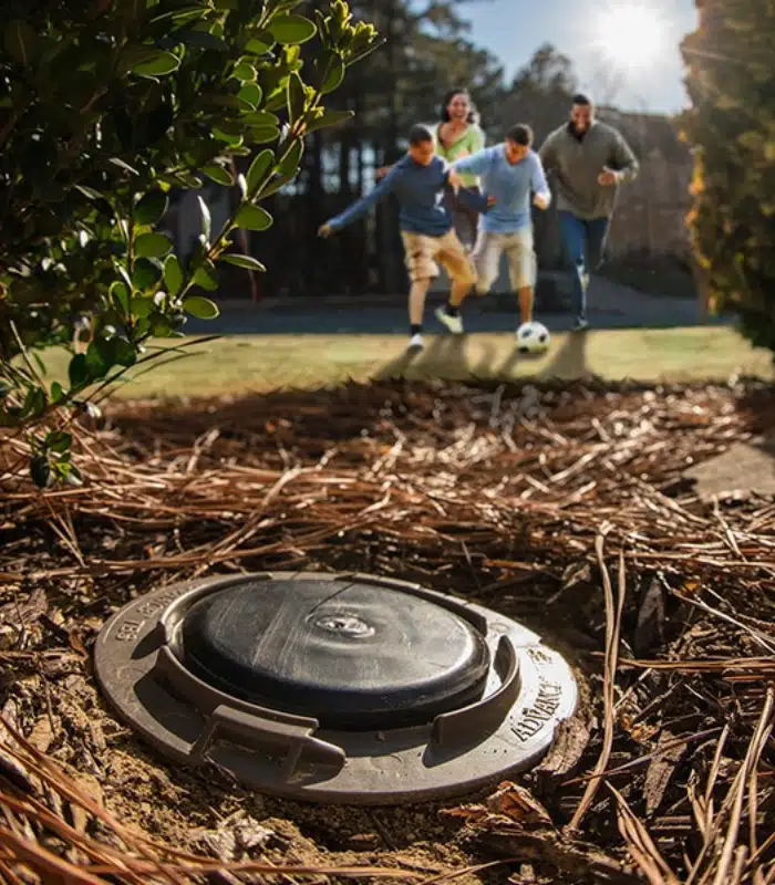 termidor termite treatments