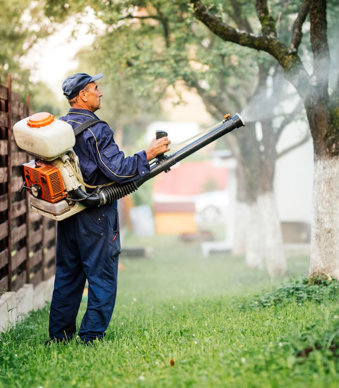 ecological mosquito treatments
