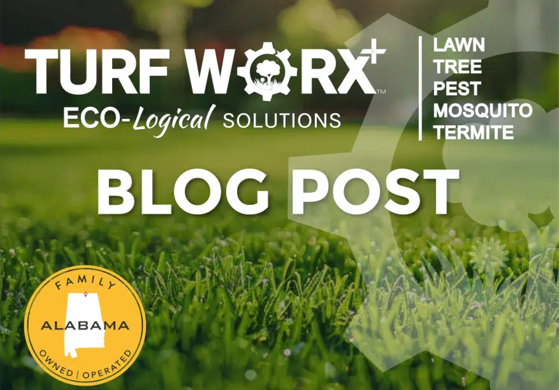 Ultimate Guide for Mowing Bermuda