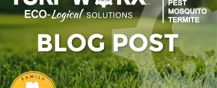 What is scalping and Why is it Important?