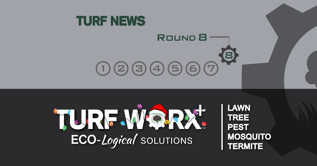 Dynamic Content Image