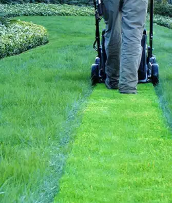 How to mow grass