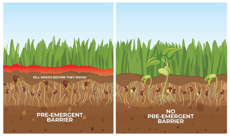 Dynamic Content Image