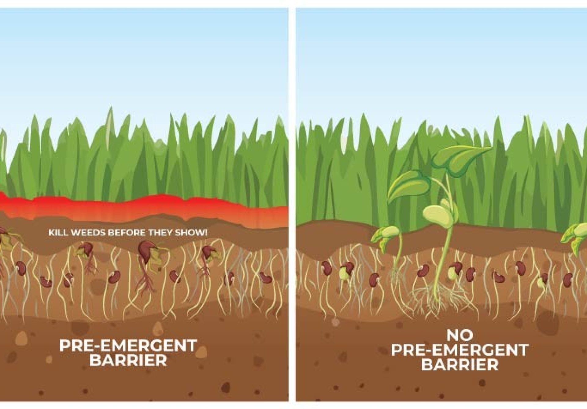 The PROOF is in the SOIL - Weed Prevention