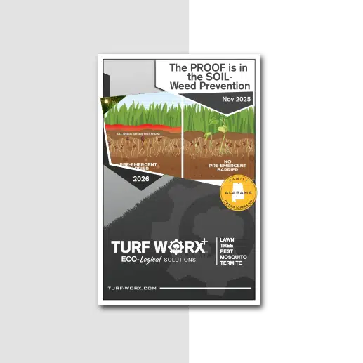 Turf Blog