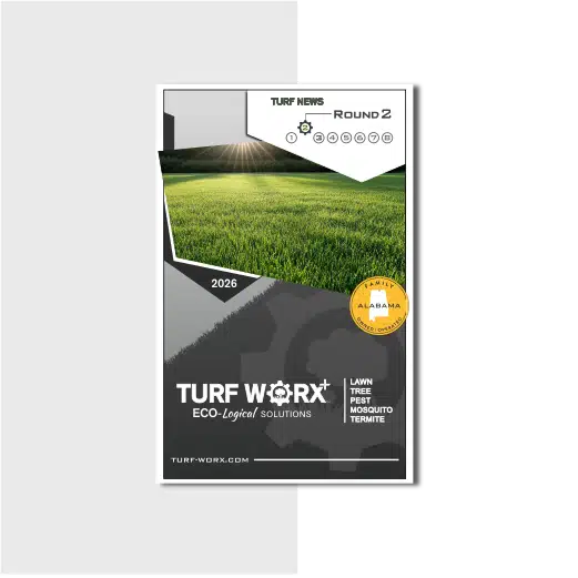 Turf Newsletter