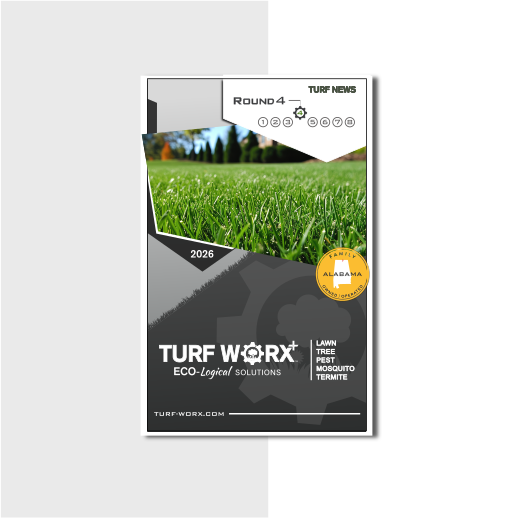 Turf Newsletter