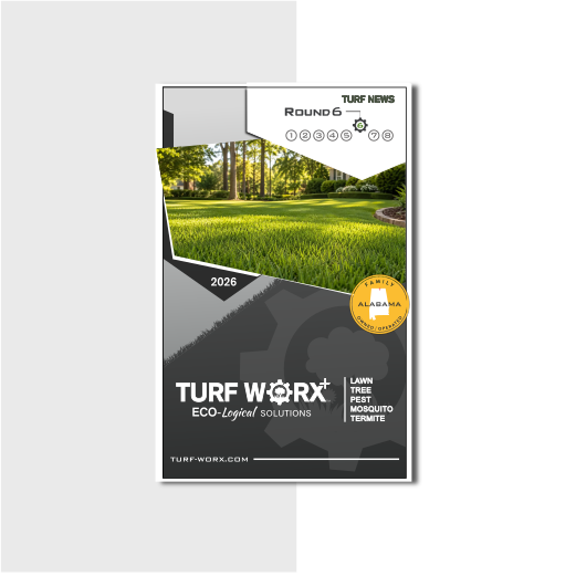 Turf Newsletter