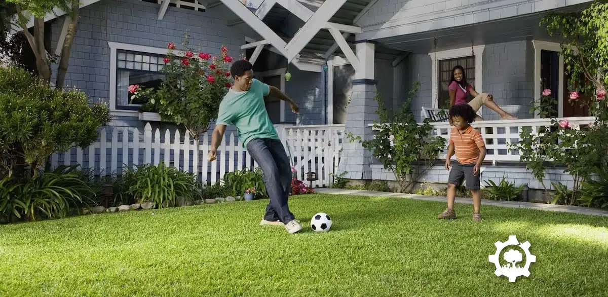 Lawn After Treatment