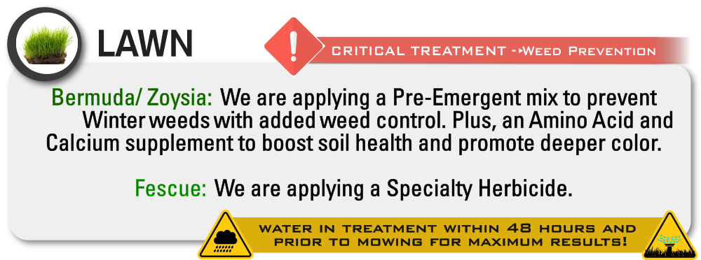 Turf Worx Plus featured service 6